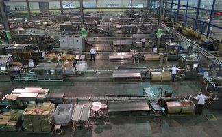 湖北汉川 农产品加工厂 解决卖难 促进就业