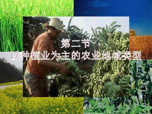 地理人教版必修2课件 3.2以种植业为主的农业地域类型